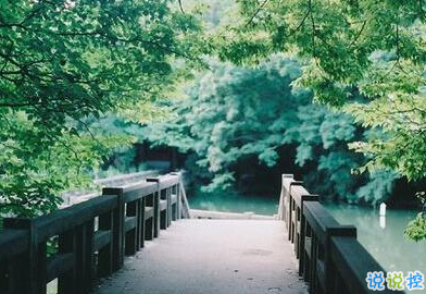 承蒙你出現(xiàn)，夠我喜歡好多年9