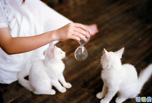 適合早晨發(fā)的說說早安心語 每天清晨叫醒你的應該是你的夢想12