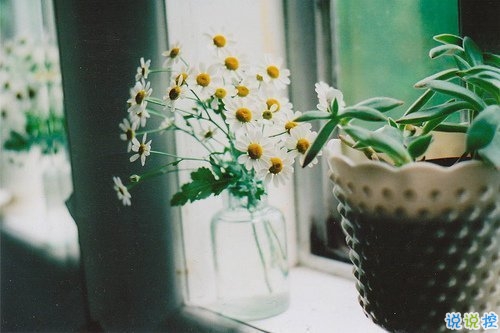 2019全新勵(lì)志說(shuō)說(shuō)致自己帶圖片 能引起共鳴的哲理說(shuō)說(shuō)2