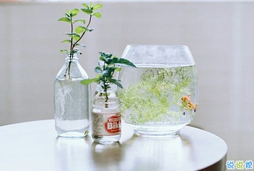 2019情人節(jié)一個(gè)人過(guò)的說(shuō)說(shuō)帶圖片 情人節(jié)傷感心情說(shuō)說(shuō)配圖13