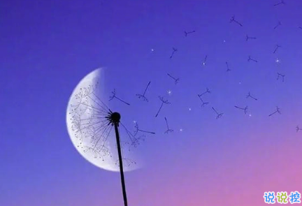 說到心坎的傷感說說帶圖片戳中你的內(nèi)心 失落又心痛發(fā)朋友圈說說精選9