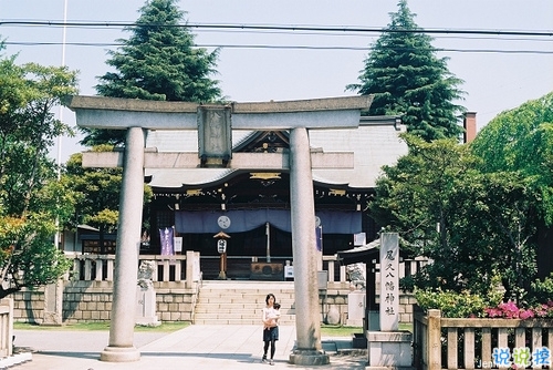 那些和青春夏天有關的唯美簡單小清新圖片句子 陽光傾落風雨都不舍2