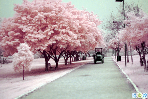 最新女生唯美說說帶圖片大全 有詩意很文藝的一些唯美句子7