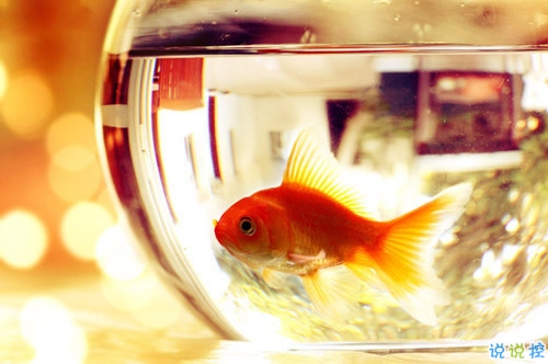 2018十一月你好說(shuō)說(shuō)大全唯美好聽?zhēng)D片 十一月你好早安說(shuō)說(shuō)大全10