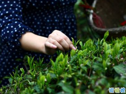 2019谷雨朋友圈說說配圖 谷雨節(jié)發(fā)朋友圈的說說優(yōu)美2