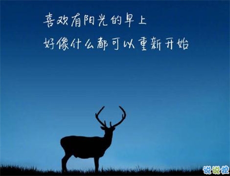 深刻有內(nèi)涵的說說致自己帶圖片 充滿陽光灑脫勵(lì)志說說7