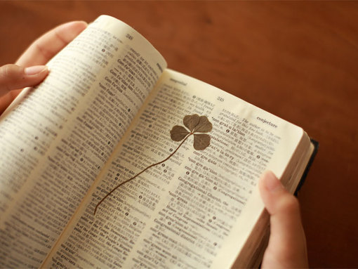 充滿少女心的愛情小句子帶圖片 能遇見你感覺就像是得到了上天的眷顧14