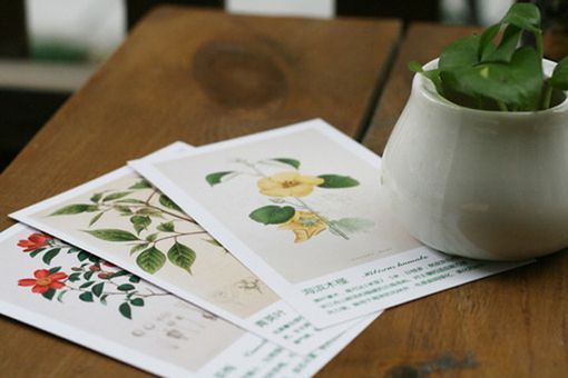 關(guān)于現(xiàn)實生活人生的哲理說說帶圖片 一個人活著應(yīng)該永遠(yuǎn)要把目光投向遠(yuǎn)方3