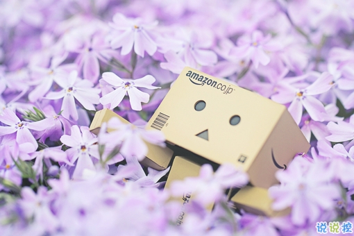 2019抖音經(jīng)典愛情說說帶圖片 長(zhǎng)大后逐漸懂得的愛情道理5