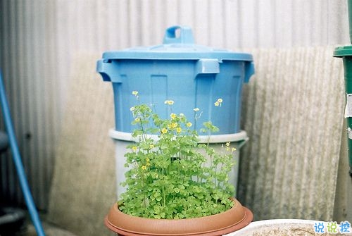 一句話讓女朋友炸毛 女生聽了瞬間生氣的句子合集4