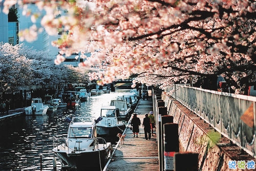 最新浪漫愛情說(shuō)說(shuō)相濡以沫帶圖片 送給女朋友的愛的誓言1