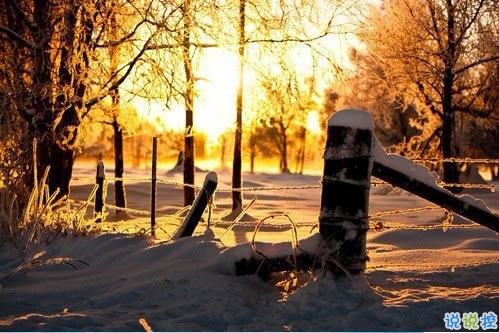 青春文藝說(shuō)說(shuō)帶圖片大全唯美 感情經(jīng)得起風(fēng)雨也要經(jīng)得起平凡3