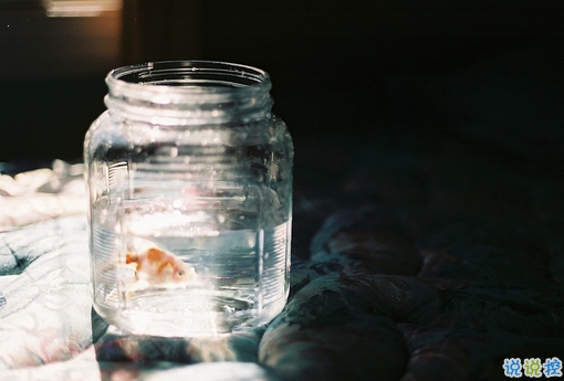 很真實的愛情感悟帶圖片 深有感觸的經(jīng)典愛情說說配圖3