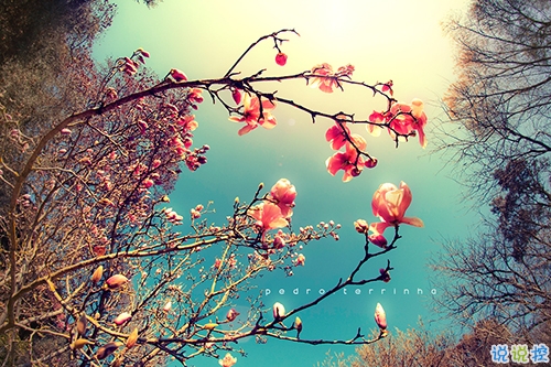 迎接2019的說說滿滿正能量帶圖片 與2018說再見用雙手去擁抱20191