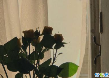 致自己的一句話個性說說帶圖片 想要訴說自己心情的說說6