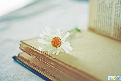 寫給失戀分手后的傷感說說帶圖片 很難過的一個(gè)人感到孤獨(dú)寂寞的說說12