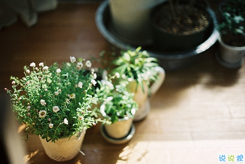 2019富有哲理的說說句子合集 看清了一些人和事的說說很經(jīng)典4