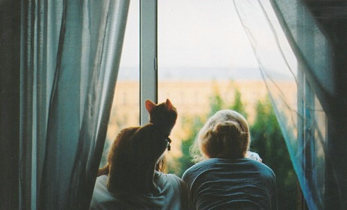 關(guān)于人生成長的精辟哲理句子帶圖片很有道理的那種5