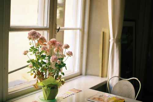 超經(jīng)典的關(guān)于人生和成長的激勵(lì)你前行的正能量說說帶圖片7