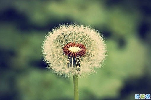 晚安說說勵志好心情一句大全帶圖片 簡單一句晚安心語勵志配圖1