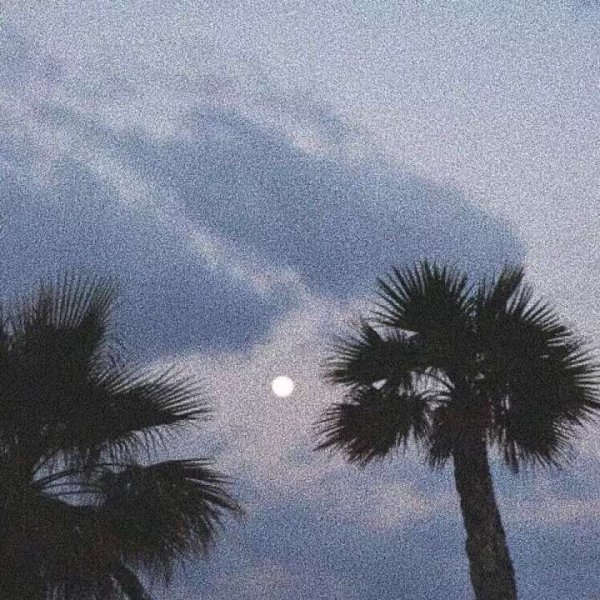 關(guān)于人生和夢想的很現(xiàn)實(shí)的經(jīng)典哲理說說帶圖片4