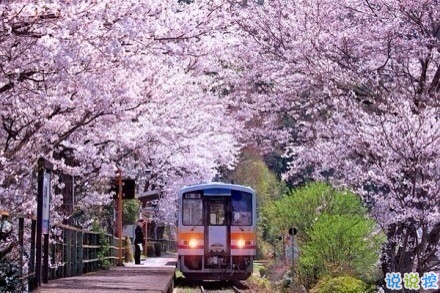 感悟生活的早安心情說說 陽光這么好別辜負了今天12