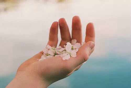 關于人生和愛情的唯美小清新句子帶圖片 我路過萬家燈火而你才是我的歸途11