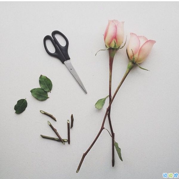 00后青春期暗戀一個(gè)人的甜蜜心情說說帶圖片5