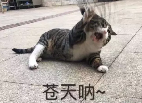 2018搞笑句子越短越好精選 簡短的搞笑句子一句話笑死人2