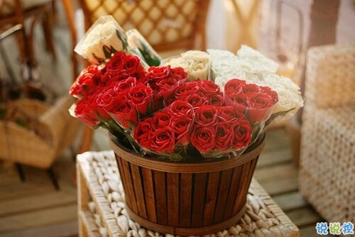 2019微信個(gè)性說(shuō)說(shuō)帶圖片 發(fā)朋友圈的獨(dú)特內(nèi)涵句子11