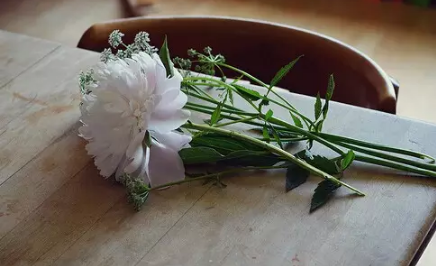 2018最新寫給傻傻的自己配圖 傻傻的話寫給自己一段話圖片8