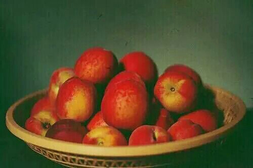 關于人生和愛情的唯美小清新句子帶圖片 我路過萬家燈火而你才是我的歸途12