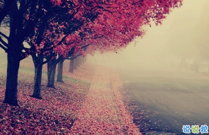 最火情侶說(shuō)說(shuō)秀恩愛(ài)短句帶圖片 超級(jí)喜歡一個(gè)人的說(shuō)說(shuō)9