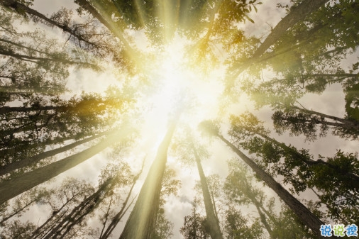 心里委屈難過(guò)的說(shuō)說(shuō)帶圖片 適合心情不好時(shí)發(fā)的微信說(shuō)說(shuō) 11