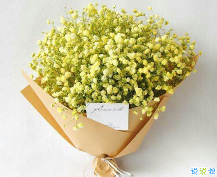 晚安心語唯美配圖加文字：比起早安，我更喜歡晚安11