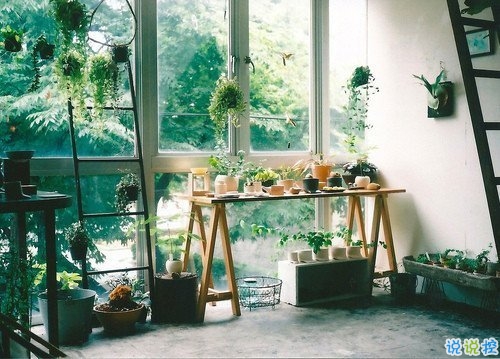 關(guān)于青春成長的哲理雖然簡單一句話但是很有道理的說說帶圖片8