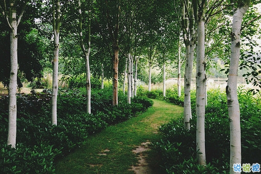 可以發(fā)朋友圈的早安勵(lì)志心語大全2018 很經(jīng)典的勵(lì)志說說帶圖片9