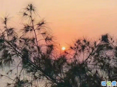 秀恩愛簡短的話高手合集 低調(diào)又強勢的秀恩愛說說配圖5