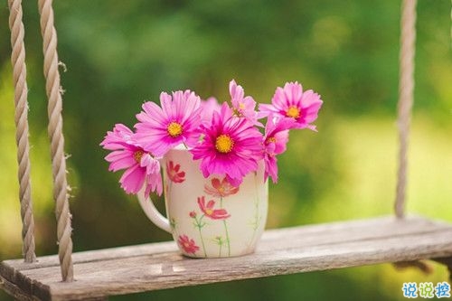 春天賞花的詩(shī)句唯美動(dòng)聽(tīng) 2019春天賞花踏青詩(shī)句合集1