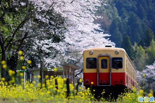 十二月治愈系早安說說2018精選帶圖片 麻煩十二月對我好一點8
