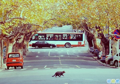 qq個(gè)性說(shuō)說(shuō)帶圖片有點(diǎn)憂傷 晚安無(wú)奈傷感說(shuō)說(shuō)11