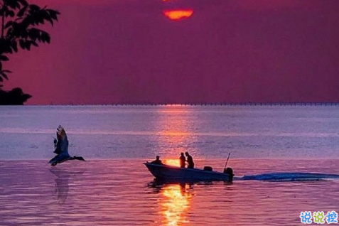 三觀很正的短句一句話一張圖 過日子是過以后不是過從前14