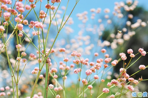 2019微信朋友圈勵志晚安心語帶圖片 早安晚安勿忘心安14