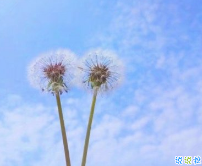 2019火爆的搞笑說說大全逗比專屬 笑得直不起腰的一些句子12