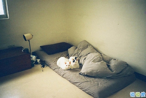 12月你好唯美說(shuō)說(shuō)簡(jiǎn)短一點(diǎn)的帶圖片 2018十二月你好說(shuō)說(shuō)最新發(fā)朋友圈的12