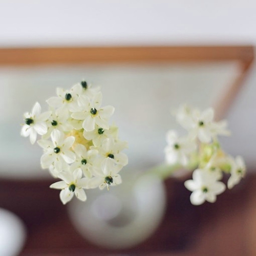 寫給步入職場的你的一些經典感悟哲理句子帶圖片13