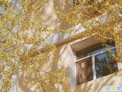 秋天朋友圈說(shuō)說(shuō)充滿(mǎn)詩(shī)意 唯美有詩(shī)意的秋天說(shuō)說(shuō)配圖11