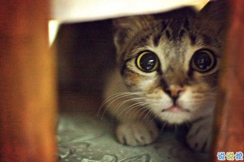 突然一瞬間悲傷難過(guò)的傷感說(shuō)說(shuō)帶圖片 抖音上很火的觸動(dòng)人心的傷感說(shuō)說(shuō)14