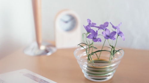 甜蜜浪漫情話只想說給你聽的說說帶圖片 想化作一陣風(fēng)輕柔的撫過你14