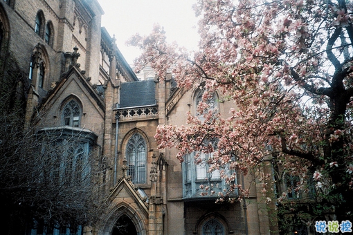 qq空間勵(lì)志說說帶圖片2019 00后都愛的勵(lì)志句子年輕人必備4